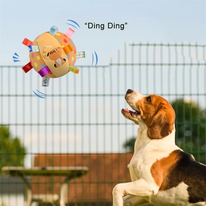balle-pour-chiens