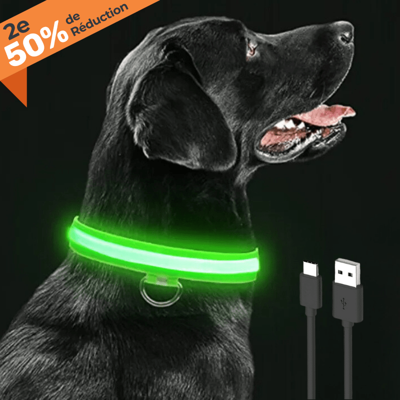 COLLIER LUMINEUX RECHARGEABLE | LedShine™. - MON TOUTOU