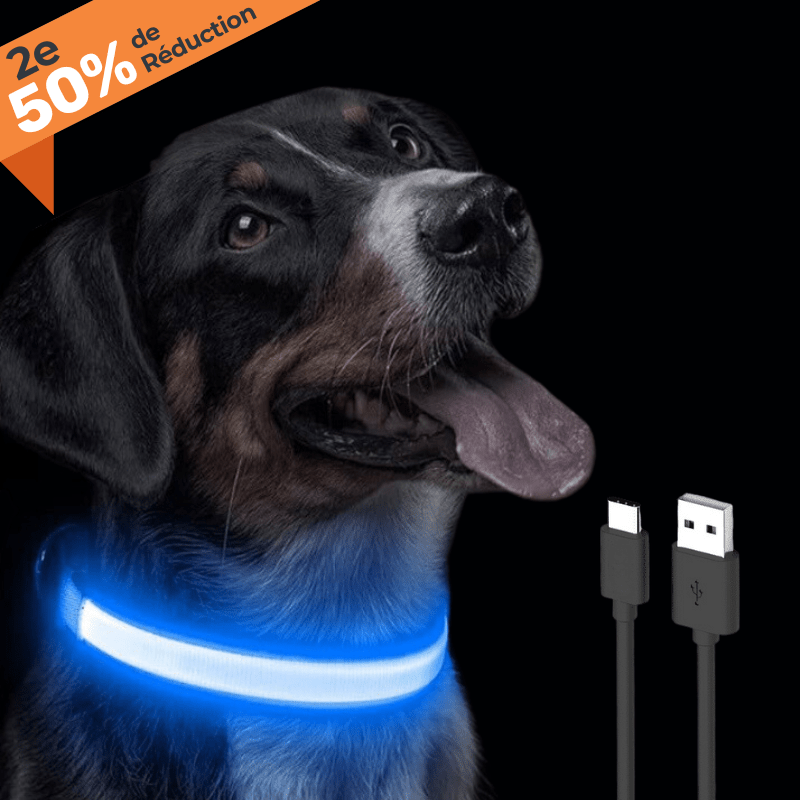 COLLIER LUMINEUX RECHARGEABLE | LedShine™. - MON TOUTOU