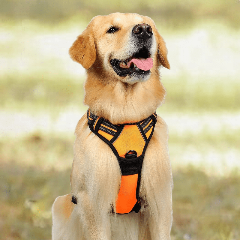 harnais-chien-anti-traction-reflechissant-orange
