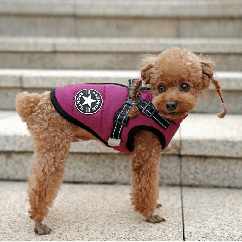 manteau-pour-chien-impermeable-avec-harnais