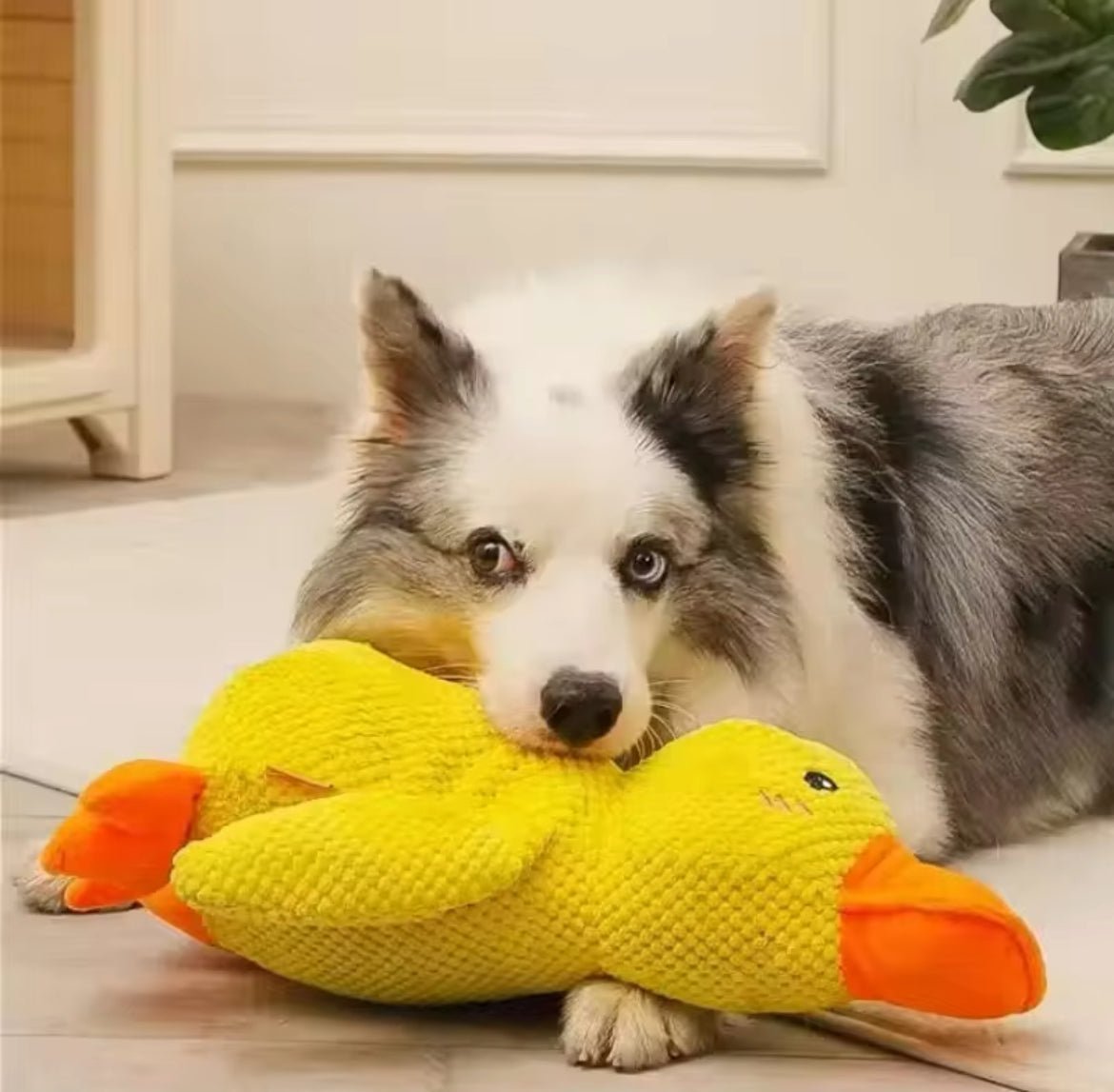peluche-canard-geant