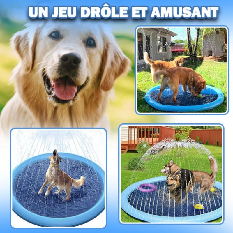 PISCINE POUR CHIENS AVEC JETS - MON TOUTOU