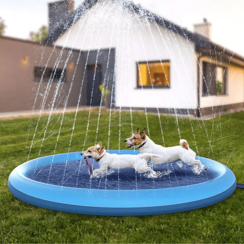 PISCINE POUR CHIENS AVEC JETS - MON TOUTOU