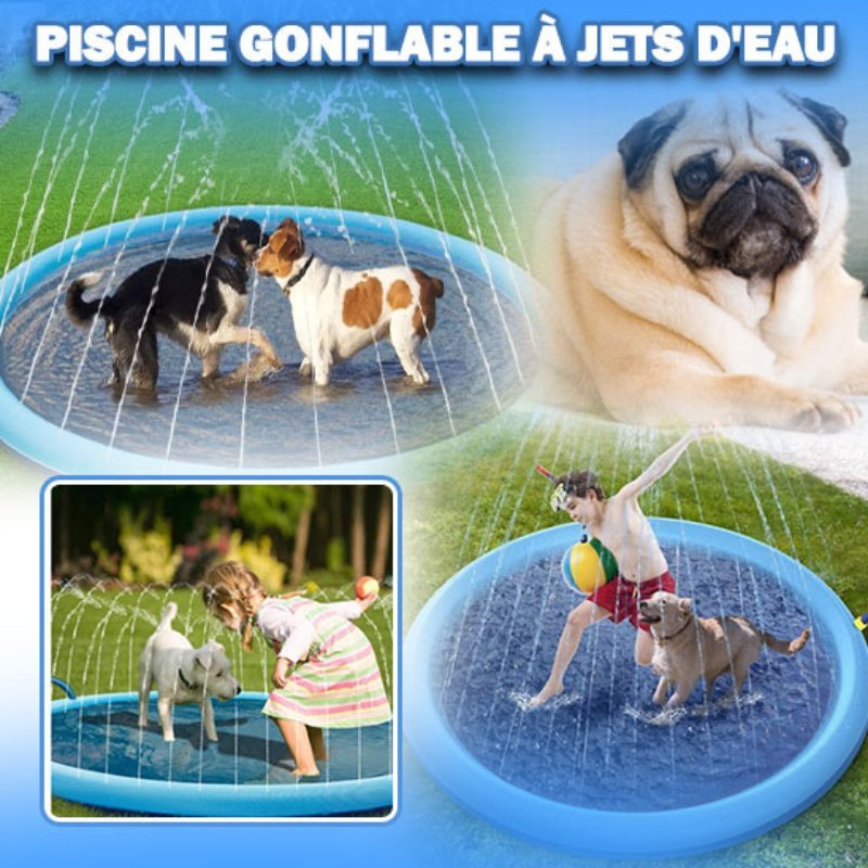 PISCINE POUR CHIENS AVEC JETS - MON TOUTOU