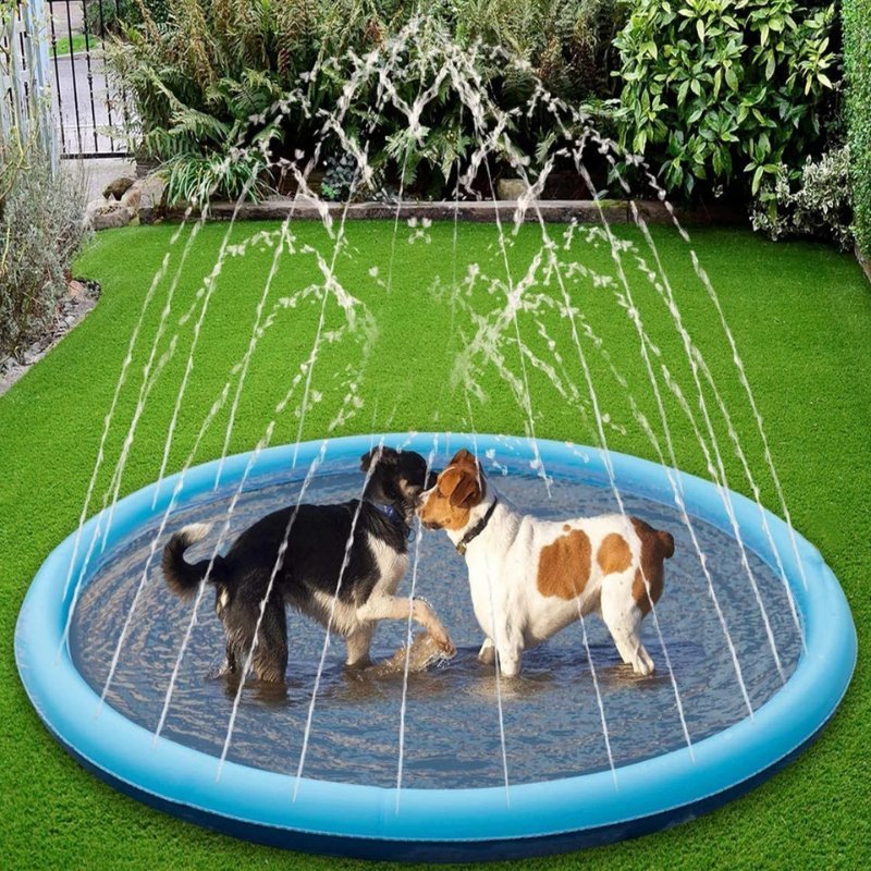 PISCINE POUR CHIENS AVEC JETS - MON TOUTOU
