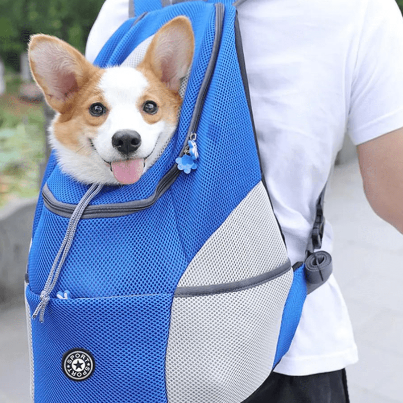 SAC A DOS DE TRANSPORT POUR CHIEN - MON TOUTOU