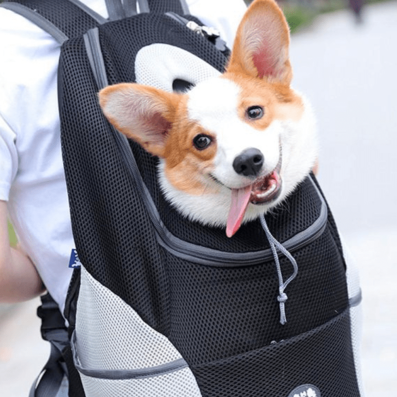 SAC A DOS DE TRANSPORT POUR CHIEN - MON TOUTOU
