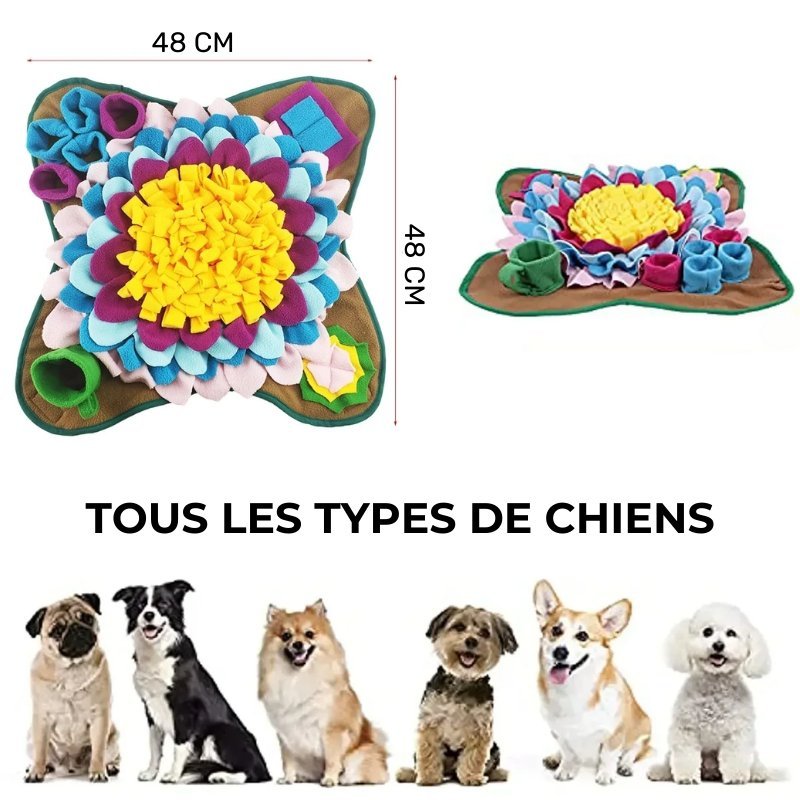 TAPIS DE FOUILLE POUR CHIEN - MON TOUTOU