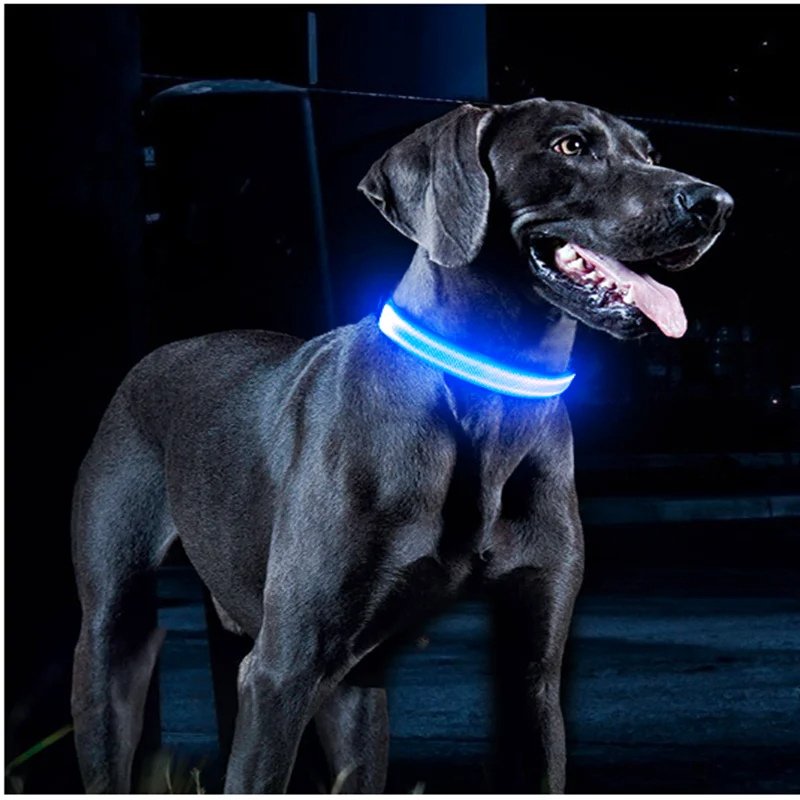 COLLIER LUMINEUX POUR CHIEN RECHARGEABLE | LedShine™. - MON TOUTOU