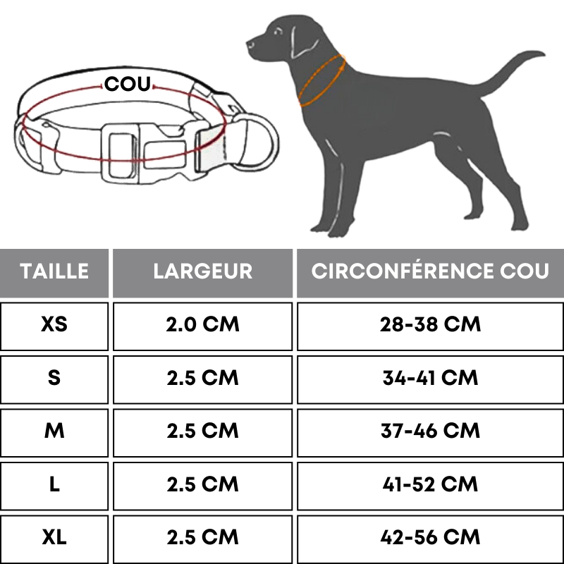 COLLIER LUMINEUX POUR CHIEN RECHARGEABLE | LedShine™. - MON TOUTOU