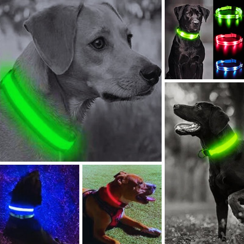 COLLIER LUMINEUX POUR CHIEN RECHARGEABLE | LedShine™. - MON TOUTOU
