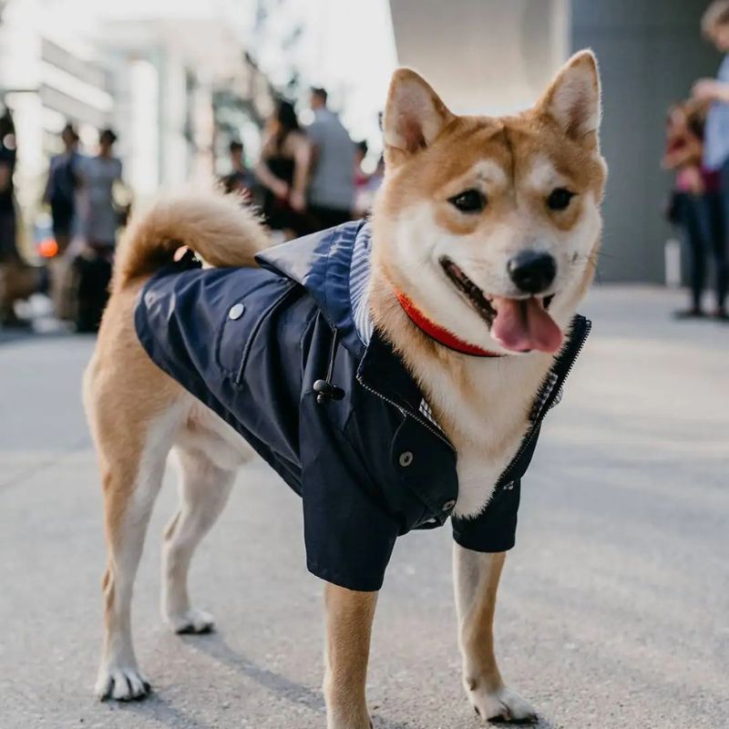 MANTEAU IMPERMÉABLE POUR CHIEN