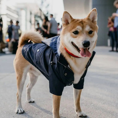 MANTEAU IMPERMÉABLE POUR CHIEN