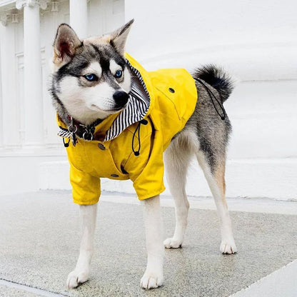 MANTEAU IMPERMÉABLE POUR CHIEN