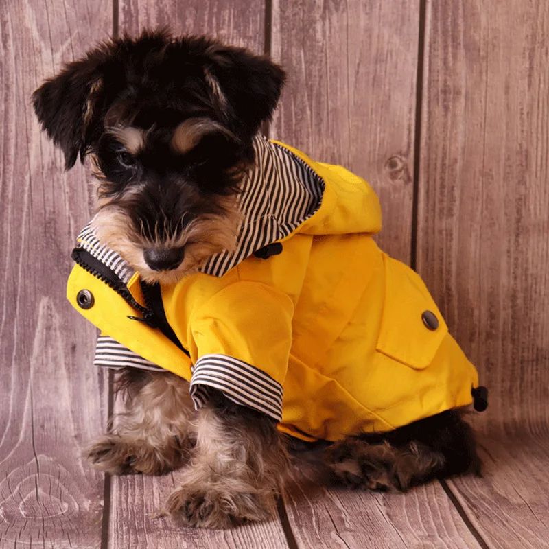 MANTEAU IMPERMÉABLE POUR CHIEN
