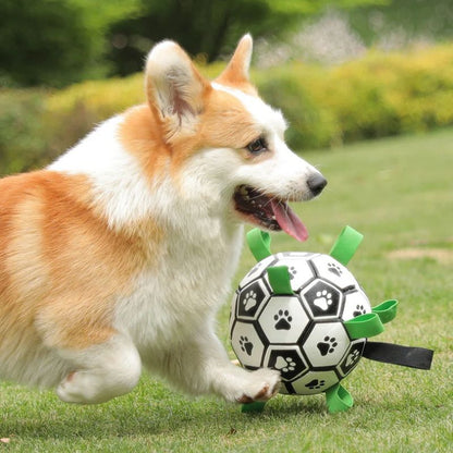 JOUET FOOTBALL POUR CHIEN