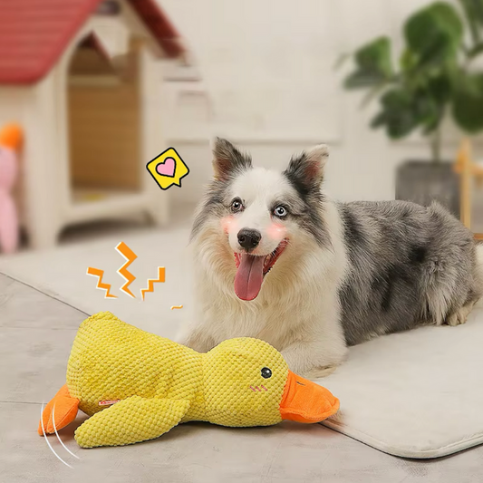 CANARD SONORE EN PELUCHE  | DuckFun™