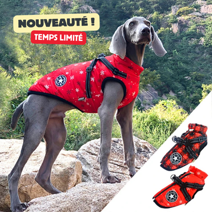 MANTEAU CHIEN HIVER AVEC HARNAIS