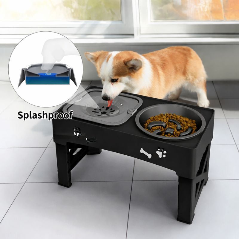 Gamelle chien antisplash