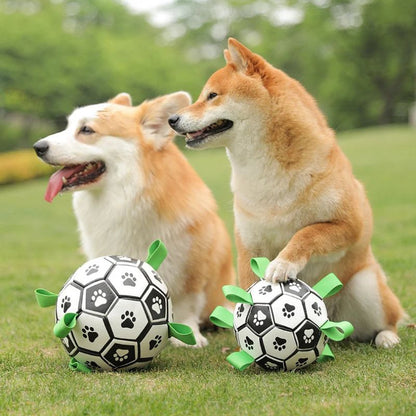 JOUET FOOTBALL POUR CHIEN