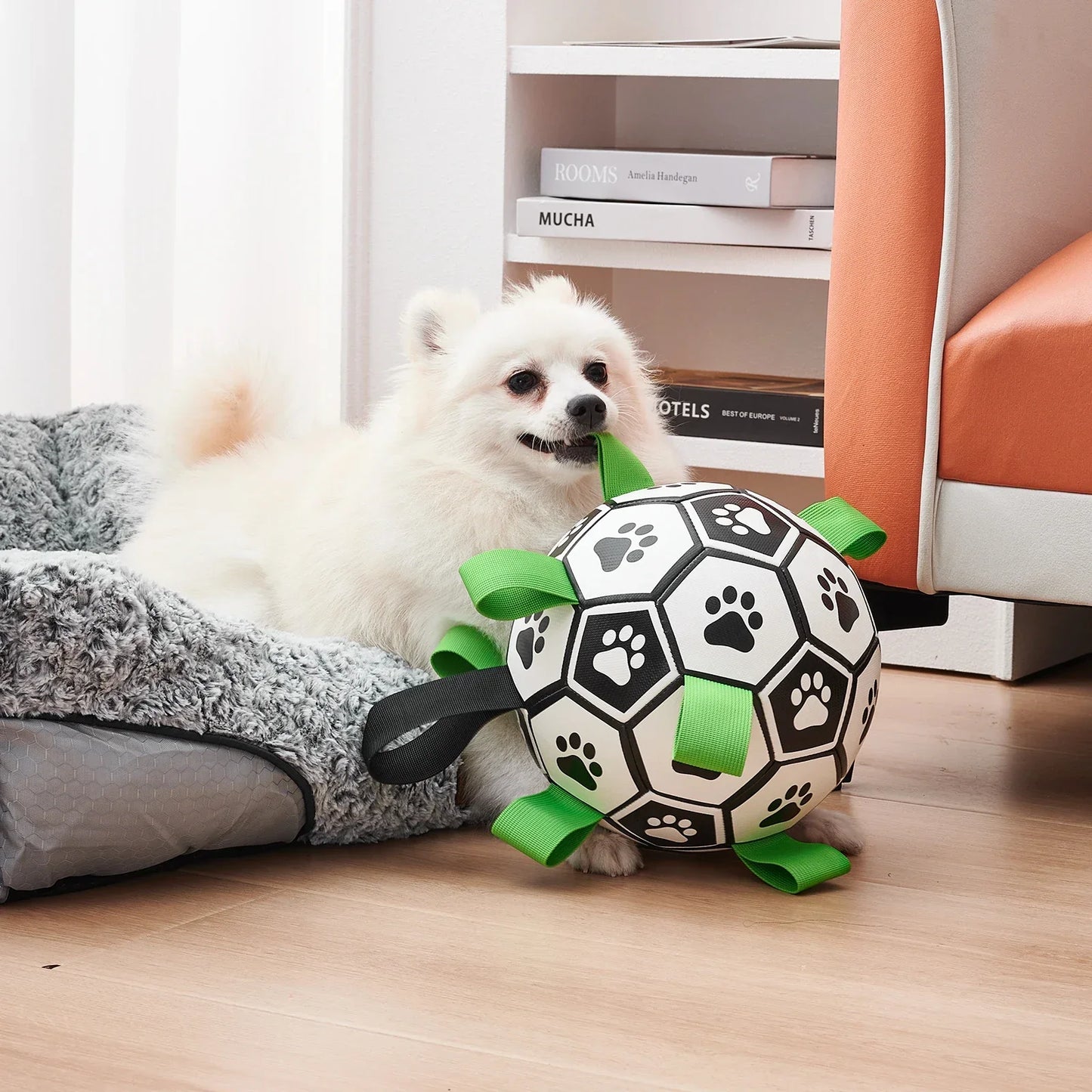 JOUET FOOTBALL POUR CHIEN