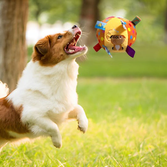 BALLE POUR CHIENS EN PELUCHE - MON TOUTOU
