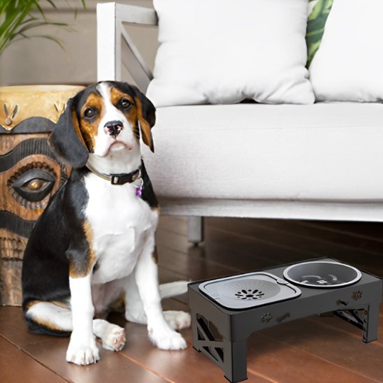Gamelle chien antiderapant