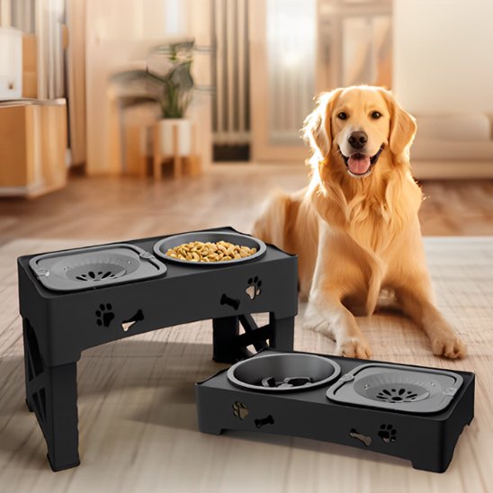 Gamelle chien design