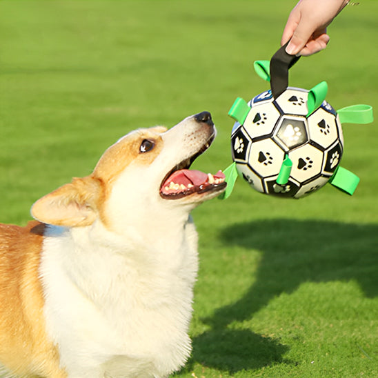 JOUET FOOTBALL POUR CHIEN