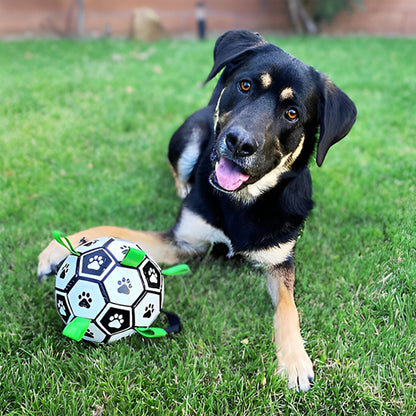 JOUET FOOTBALL POUR CHIEN