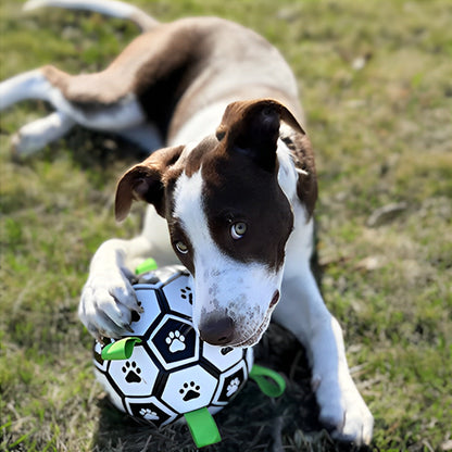 JOUET FOOTBALL POUR CHIEN