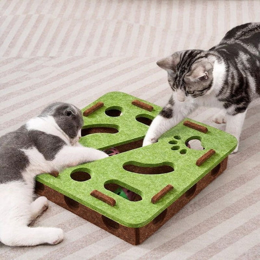 jouet chat plateau avec balle