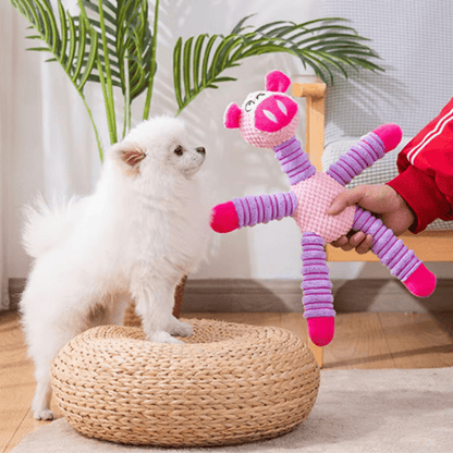 JOUET DE DENTITION EN PELUCHE - MON TOUTOU