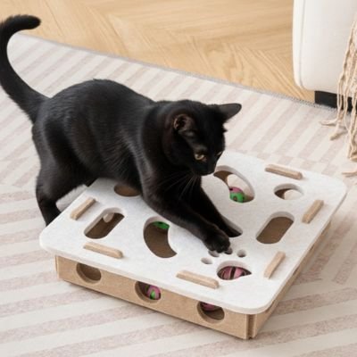 Jouet pour chat autonome