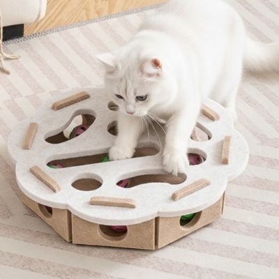 Jouet pour chat octogonal