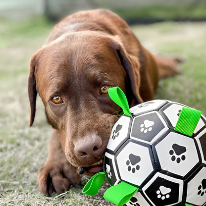 jouet football pour chien