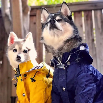 MANTEAU IMPERMÉABLE POUR CHIEN