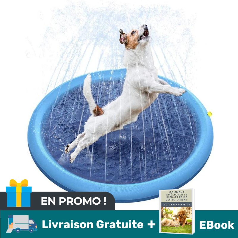 PISCINE À JETS POUR CHIEN | AquaPaws™ - MON TOUTOU