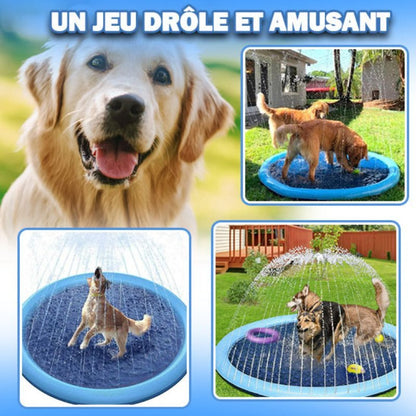 PISCINE POUR CHIENS AVEC JETS - MON TOUTOU