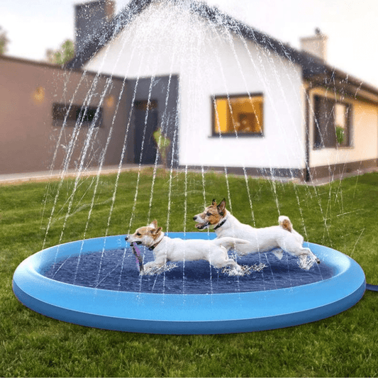 PISCINE POUR CHIENS AVEC JETS - MON TOUTOU