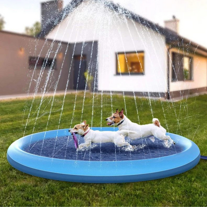 piscine-pour-chiens