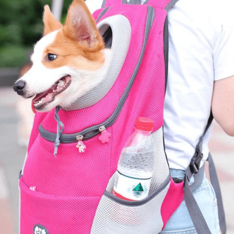 sac-a-dos-de-transport-pour-chien-rose