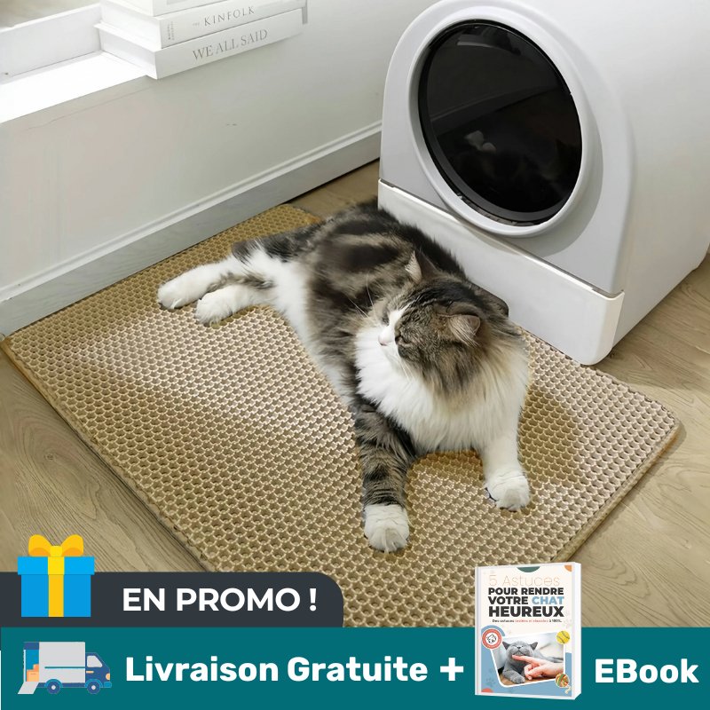 TAPIS POLYMÈRE POUR LITIÈRE | CleanPaw™ - MON TOUTOU